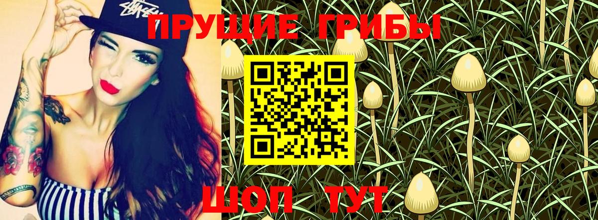 Псилоцибиновые грибы GOLDEN TEACHER Миллерово