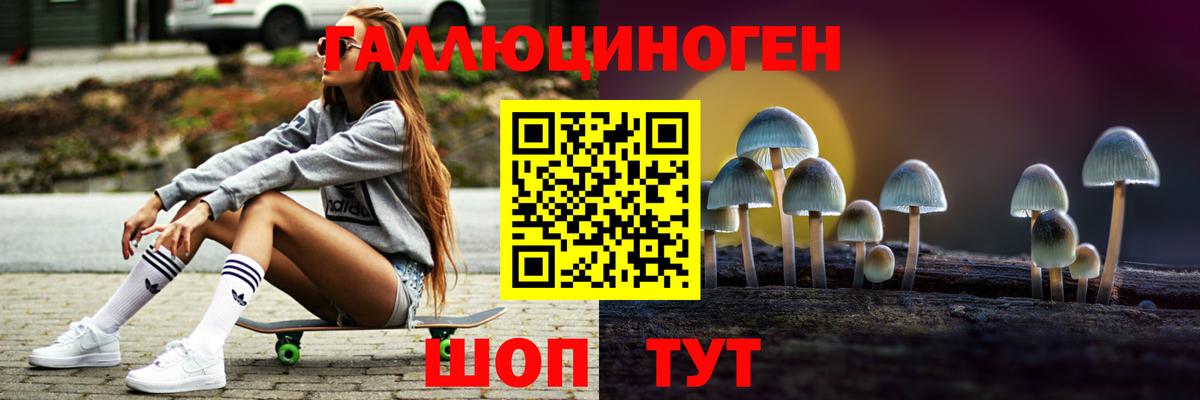 где найти   Псилоцибиновые грибы Magic Shrooms  Вход с VPN  Миллерово  Галлюциногенные грибы Psilocybine cubensis 