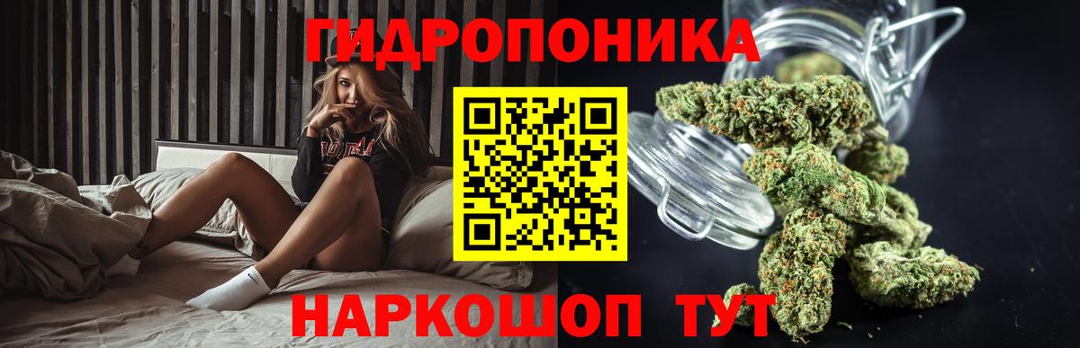 Бошки Шишки White Widow  Вход с VPN  Бошки Шишки Amnesia  Шишки марихуана тримм  Каннабис планчик  Миллерово 